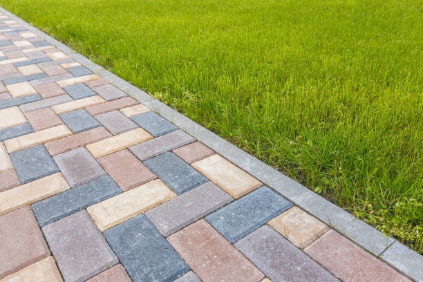 Best Driveway Paver Repair  in Columbus Grove, OH